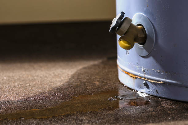 Best Basement water damage restoration  in Keuka Park, NY