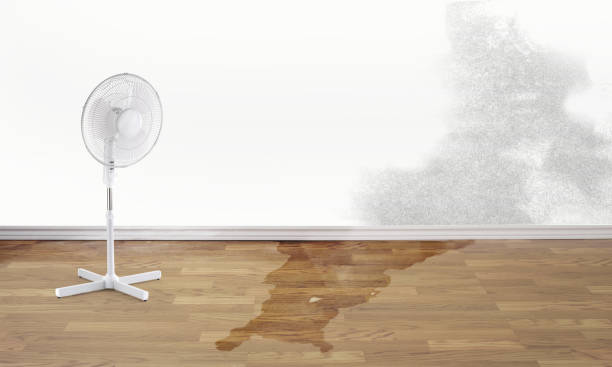 Best Water damage restoration near me  in Keuka Park, NY