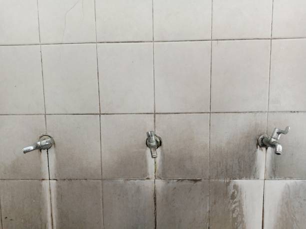 Best Sewage cleanup and water damage restoration  in Keuka Park, NY