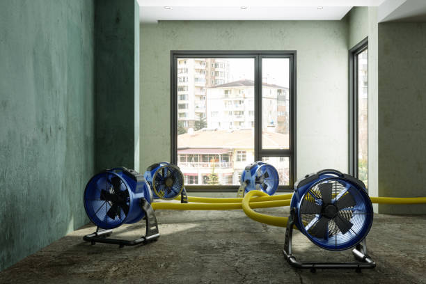 Best Water damage cleanup near me  in Keuka Park, NY